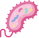 Biology